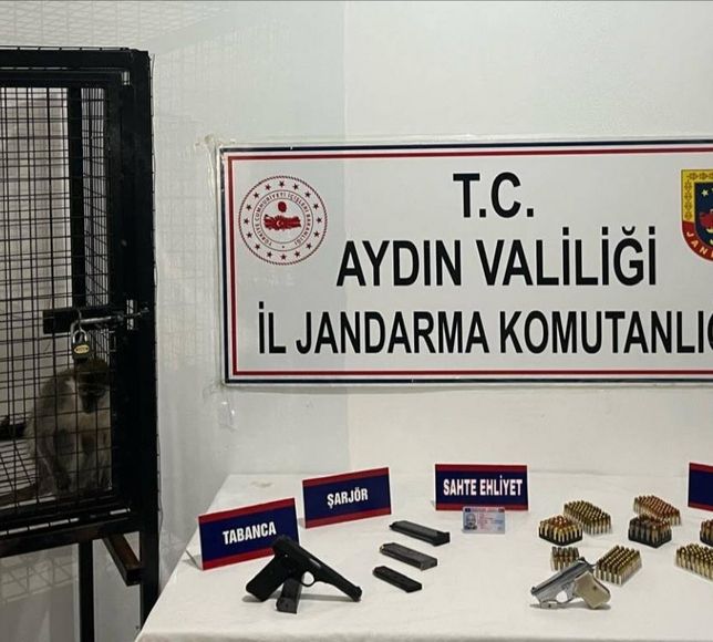 Aydın'da silah kaçakçılığı operasyonunda gözaltına alınan şüpheli tutuklandı