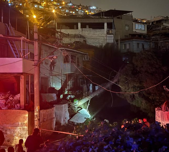 İzmir'de elektrik tellerinin üzerine devrilen ağacın neden olduğu yangın söndürüldü