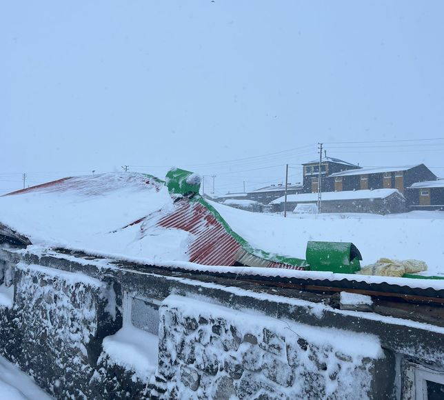 Kars'ta biriken kar nedeniyle çöken iki ahırdaki 4 büyükbaş hayvan telef oldu