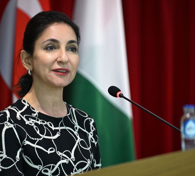 Türkiye, Avrupa rekabet stratejisinin parçası olarak görülmeli