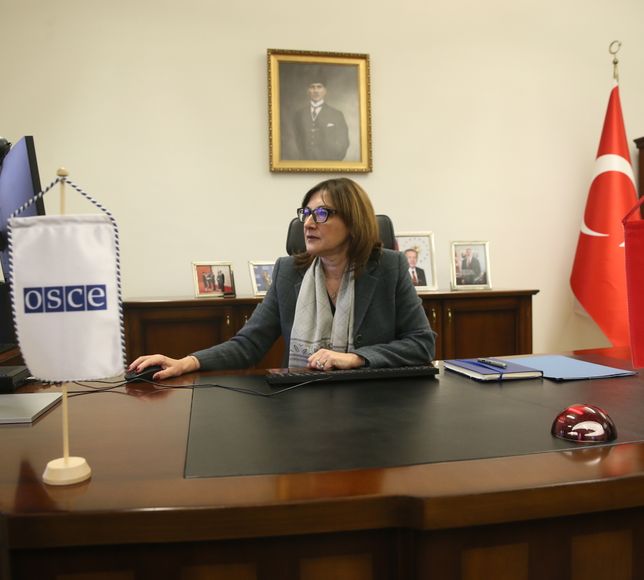 Türkiye'nin AGİT Daimi Temsilcisi Kızıltan, AA'nın 'Yılın Kareleri' oylamasına katıldı