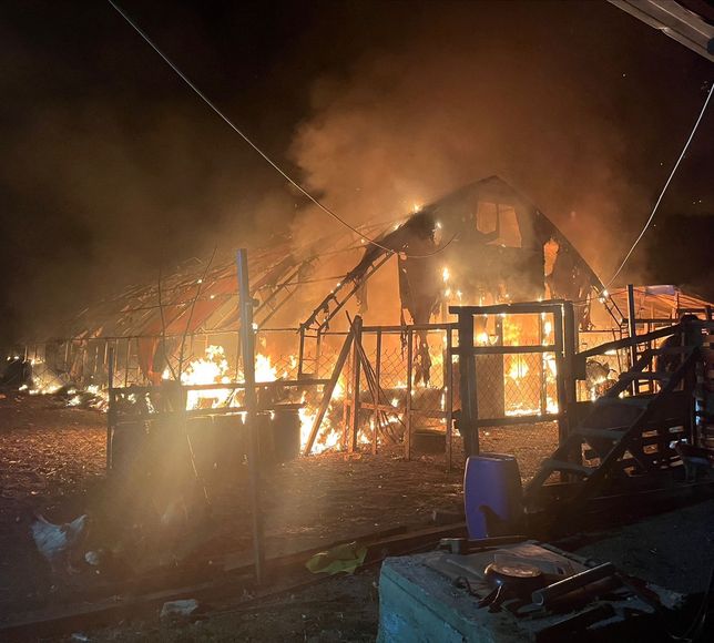 Bursa'da çiftlikte çıkan yangında çok sayıda kanatlı hayvan telef oldu