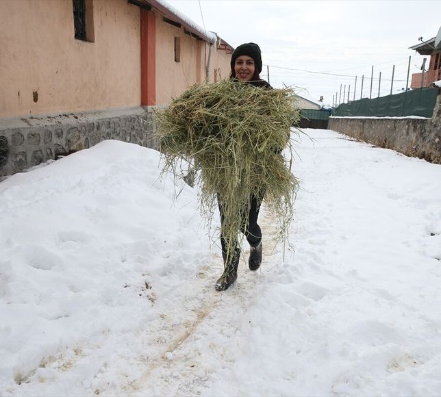 Devlet desteğiyle besi çiftliği kuran girişimci kadın hayvan sayısını artırmayı hedefliyor