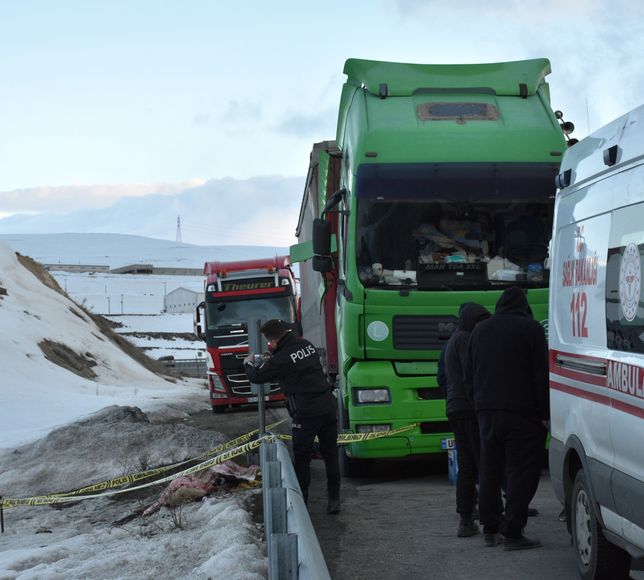 Erzurum'da arızalanan tırın yanında sürücüsü ölü bulundu