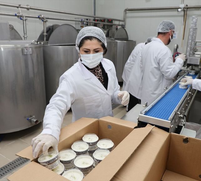 Kadın girişimci devlet desteğiyle dondurmada kendi markasını oluşturdu