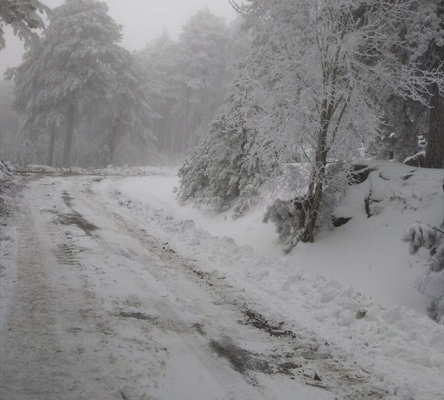 Kazdağları Milli Parkı'nda kar etkili oldu