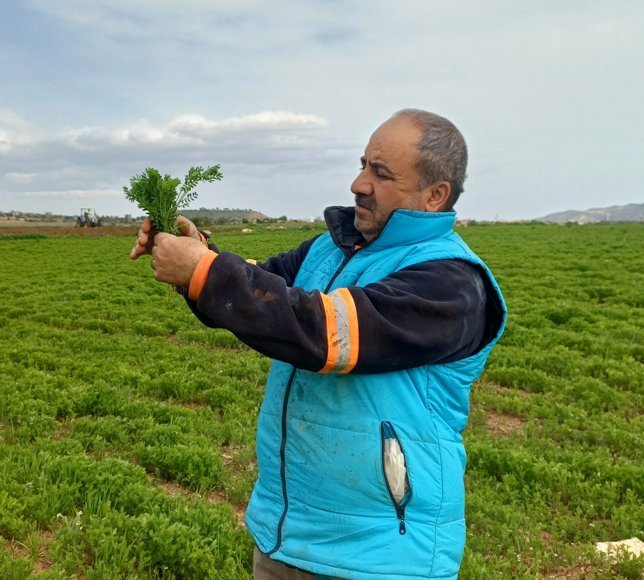 Batman'da artan yağış çiftçileri verim konusunda umutlandırdı