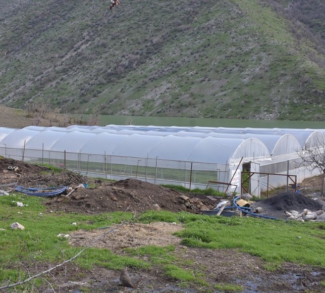 Devlet desteğiyle kurduğu sera sayesinde 7 kişilik ailesine bakıyor