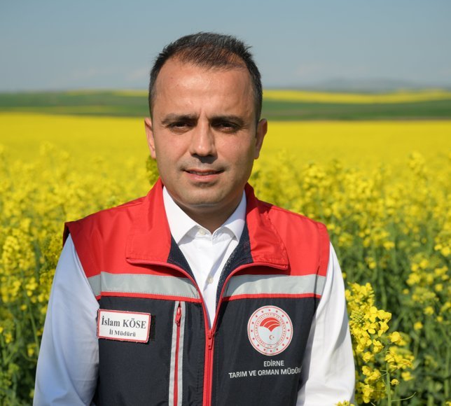 Edirne'de yaz kuraklığının görüldüğü bölgelerde kanola alternatif ürün oldu