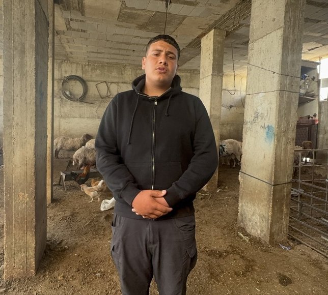 Filistin topraklarını gasbeden İsraillilerin saldırıları, Filistinlileri geçim kaynaklarından koparıyor