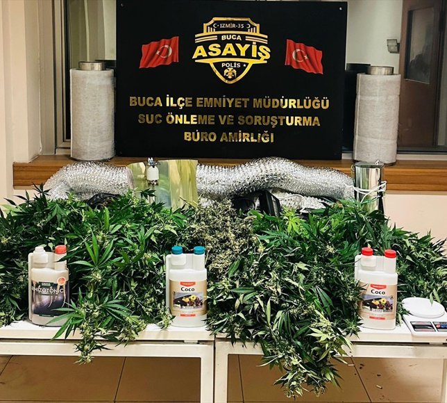 GÜNCELLEME-İzmir'de evde uyuşturucu yetiştiren 2 zanlı tutuklandı
