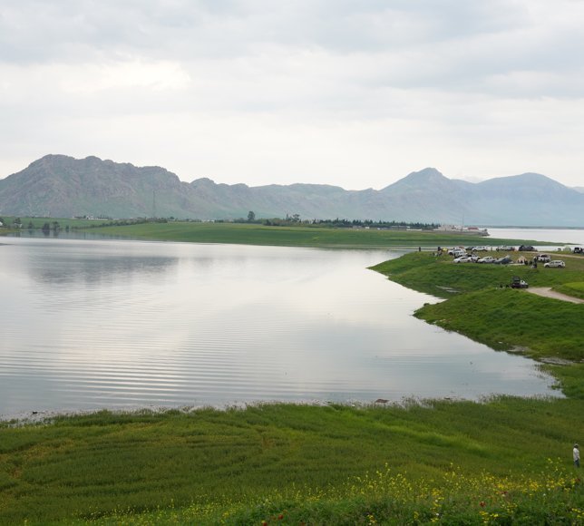 Irak'ın Süleymaniye kentinde barajlar dolarken, ekinler sular altında kaldı