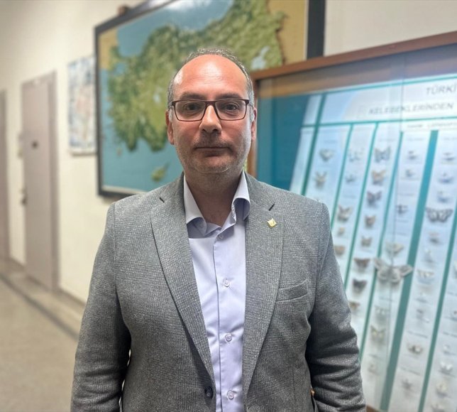 İstanbul'daki çam kese tırtılları için uzmanından 'alerjen' uyarısı