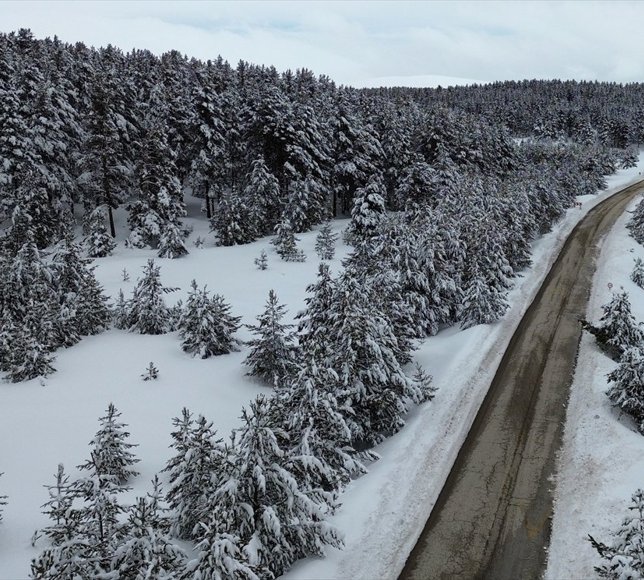 Karla kaplı Sarıkamış ormanları dronla görüntülendi