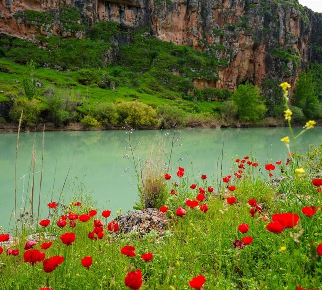 Kızılin Kanyonu baharın renklerine büründü