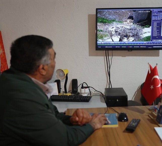 Köylerine 7 yıldır gelen leylekler 'Garip' ve 'Gurbet'i kamerayla takip ediyorlar