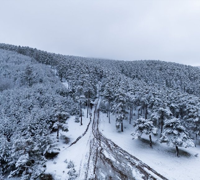 Yozgat'ta nisanda beyaza bürünen ormanlık alanlar dronla görüntülendi