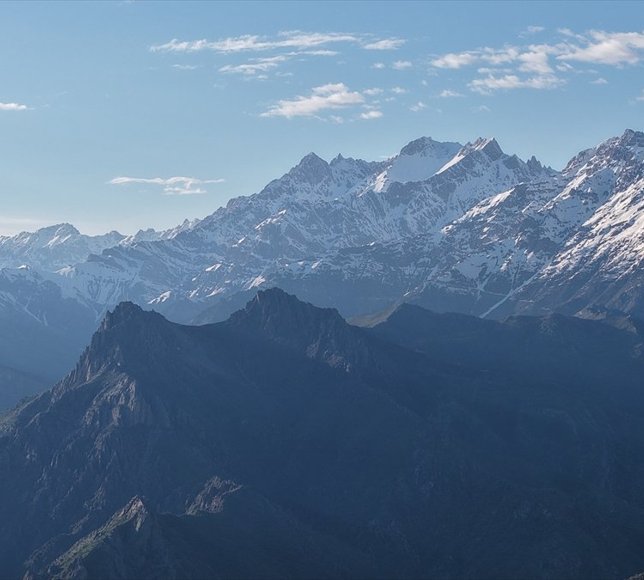 Hakkari'deki Sılo Yaylası lale ve çiçeklerle bezendi