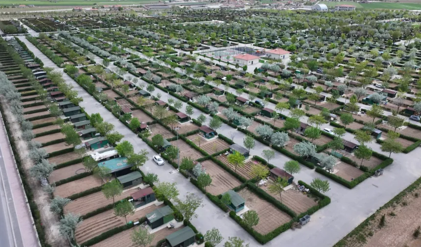 Konya Karatay'da hobi bahçelerinde üretim zamanı