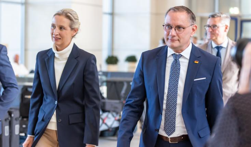 AfD Komisyon Başkanlıklarını Yine Alamadı