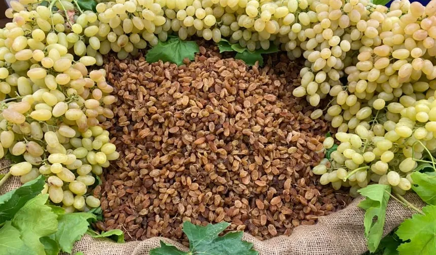 Çekirdeksiz ihracatta Türkiye 'en'leri yaşadı