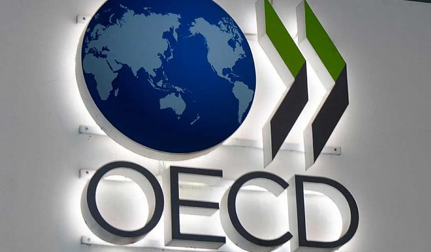 OECD’den Almanya’ya Soğuk Duş Avro Bölgesi İçin Umutlu Tablo