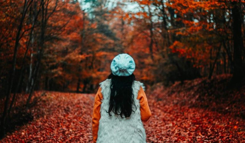 Almanya'da Kasım ayında sıcak hava dalgası