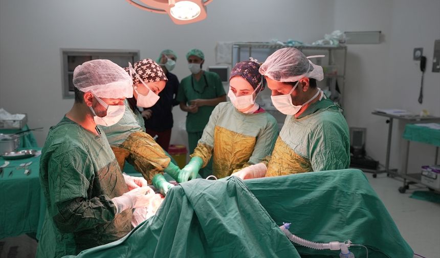 Malatya'da bir hastanın böbreğinden 2 kilo 200 gram tümör çıkarıldı