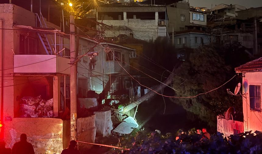 İzmir'de elektrik tellerinin üzerine devrilen ağacın neden olduğu yangın söndürüldü