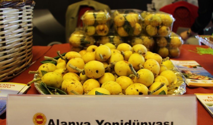 Coğrafi işaretli ürünlerin AB tescil süreci hızlandı