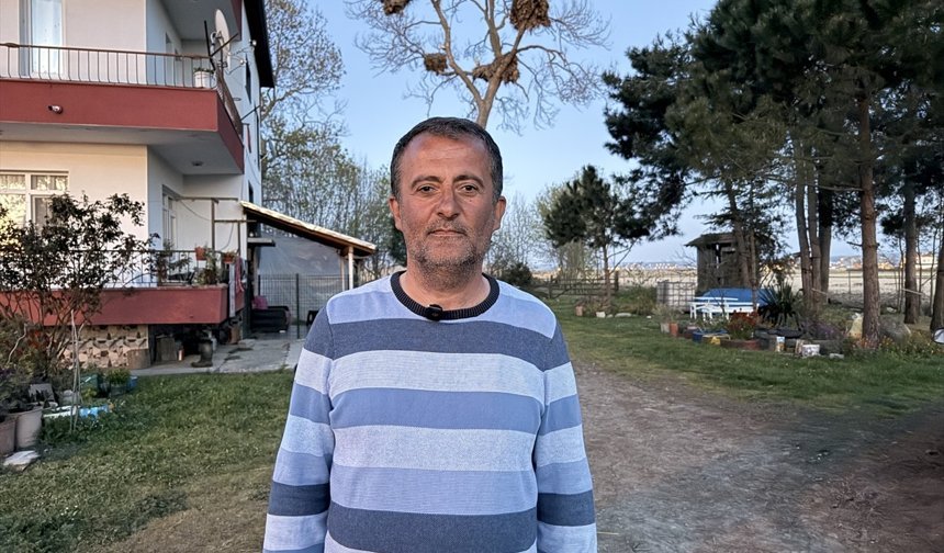 Evin bahçesindeki ağaçlar 12 leylek yuvasına ev sahipliği yapıyor