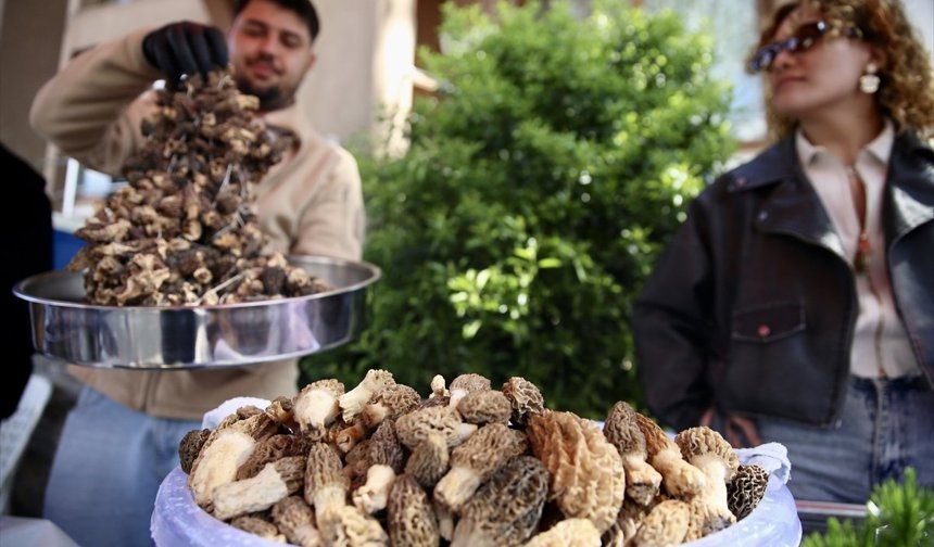 Fethiye'de 15. Dastar ve Kuzugöbeği Mantar Festivali başladı