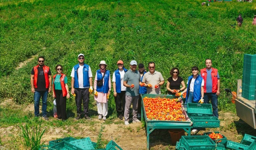Gençlik ve Spor Bakanlığı 'Gönüllü Hasat Etkinliği' takvimi belli oldu