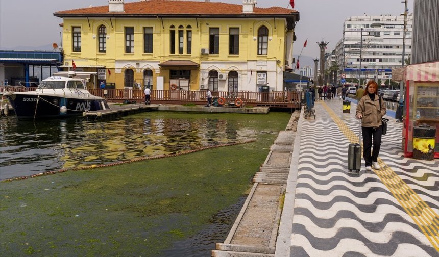 İzmir Körfezi'nde kıyıya yakın noktalarda yosun tabakası oluştu