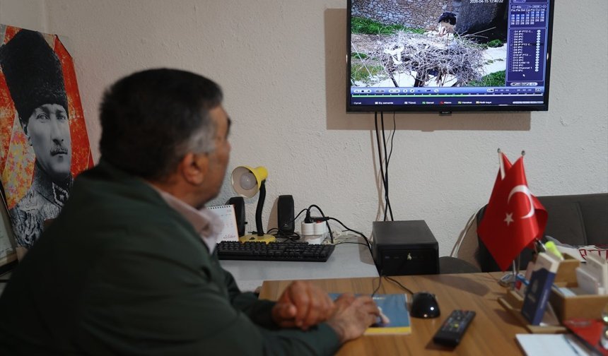 Köylerine 7 yıldır gelen leylekler 'Garip' ve 'Gurbet'i kamerayla takip ediyorlar