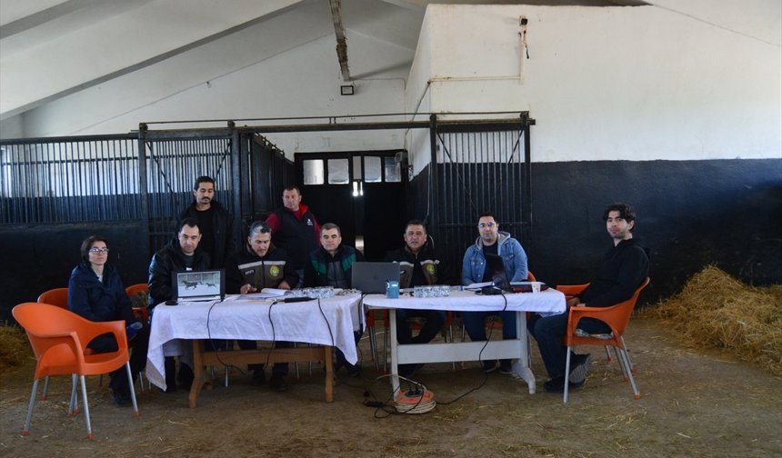 TİGEM, safkan Arap elit ve koşu taylarının seçimini tamamladı