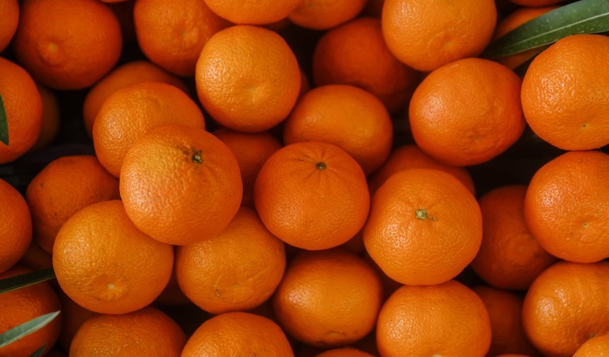 Türkiye yılın ilk çeyreğinde en fazla mandalinayı Irak'a, limonu Rusya'ya sattı