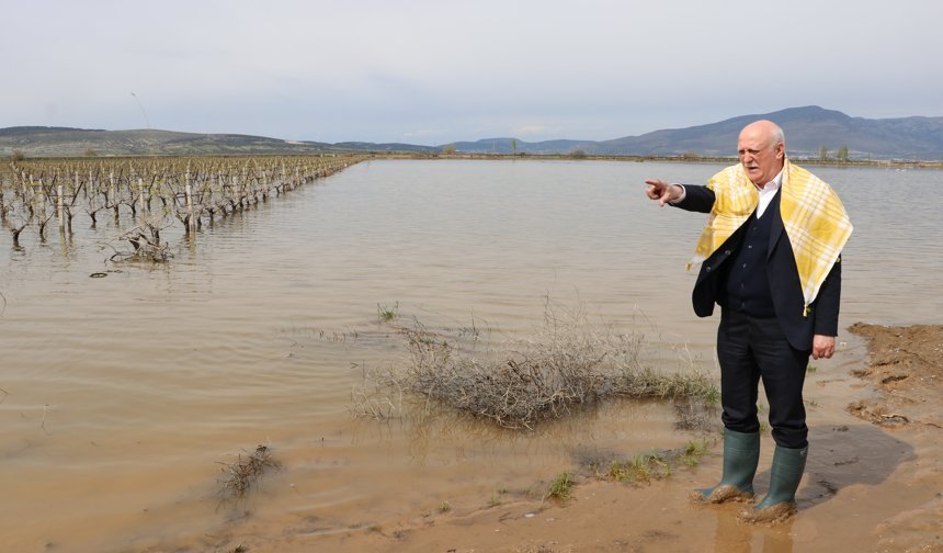 TZOB Genel Başkanı Bayraktar, İzmir'de aşırı yağışlardan etkilenen bölgeleri inceledi