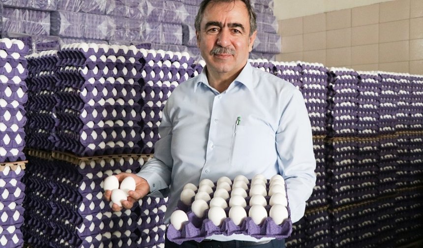Yumurta üreticisi 'mayıs çukuru'nda ihracat kotasının artmasıyla nefes aldı