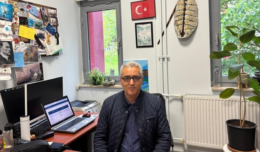 Akdeniz'in ilk caretta caretta yuvaları İztuzu Sahili'nde